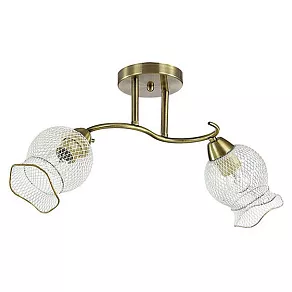Светильник на штанге Lumion Rozetta 3109/2C