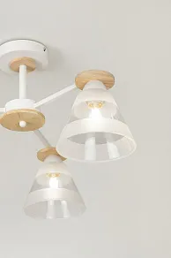 Люстра на штанге Rivoli Theothila Б0068434