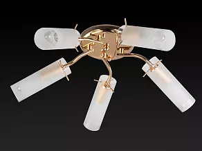 Потолочная люстра TopLight Brittany TL7130X-05FG