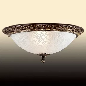 Накладной светильник Odeon Light Maipa 2587/1W