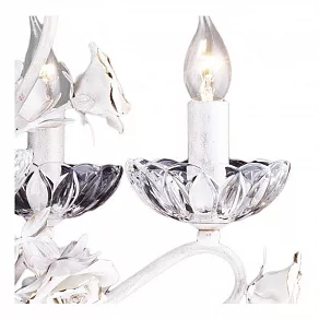 Подвесная люстра Arte Lamp Unito A2037LM-5WG