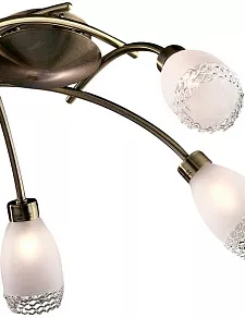 Потолочная люстра Odeon Light Lerta 1803/5C