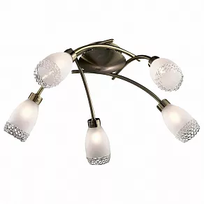 Потолочная люстра Odeon Light Lerta 1803/5C
