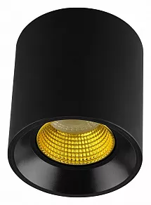 Накладной светильник Denkirs DK3020BYE DK3090-BK+YE