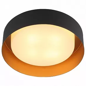 Накладной светильник ST-Luce Chio SL392.422.04