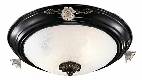 Накладной светильник Odeon Light Bone 2693/2C