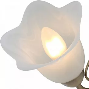 Бра Rivoli Giardino A1 AB Б0038454