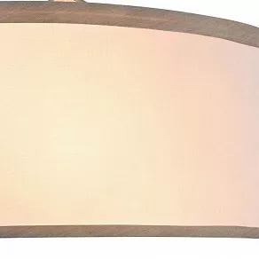 Накладной светильник Freya Teona FR5538WL-02BR