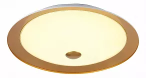 Накладной светильник Maytoni Euler CL815-PT50-G