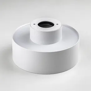Накладной светильник Lightstar Acuto 215946