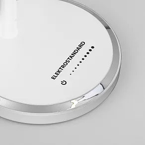 Настольная лампа офисная Elektrostandard Vara a044011