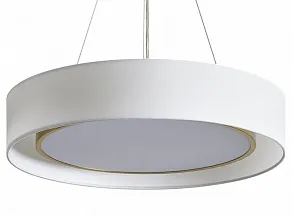 Подвесной светильник Freya Cozy FR6170PL-L52BS