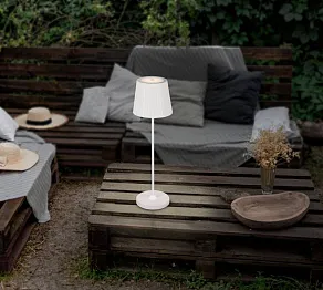 Настольная лампа декоративная Eglo ПРОМО CABOZO 75793