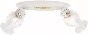 Спот Citilux Метафора CL413122