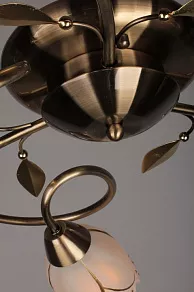Потолочная люстра Omnilux OM-379 OML-37907-03