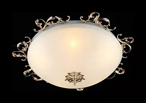 Накладной светильник Maytoni Speria CL900-05-G