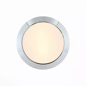 Накладной светильник ST-Luce Bagno SL469.502.02