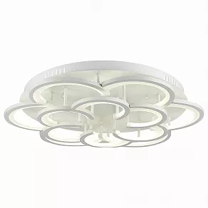 Накладной светильник EVOLUCE Bonn SLE200502-12
