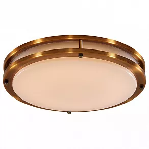 Накладной светильник Citilux Бостон CL709403