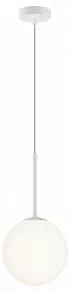 Подвесной светильник Maytoni Basic form MOD321PL-01W1