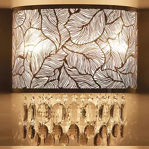 Накладной светильник Odeon Light Lian 2187/2W