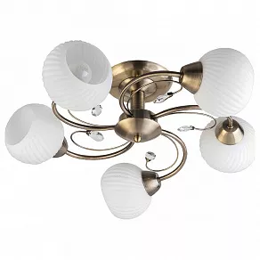 Люстра на штанге TopLight Beryl TL3540X-05AB