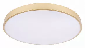 Накладной светильник Loft it Flims 10228/B