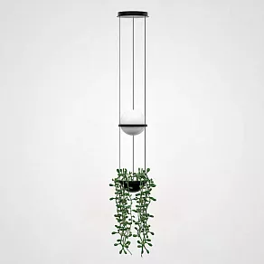 Подвесной светильник Imperiumloft Palma Wall Lamp 22.93727