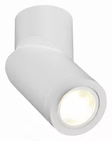 Светильник на штанге ST-Luce ST650 ST650.502.01