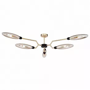 Накладной светильник Maytoni Ventura MOD012CL-06G