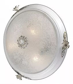 Накладной светильник Odeon Light Bone 2692/3C