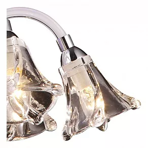 Подвесная люстра Arte Lamp Lilla A8350LM-6CC