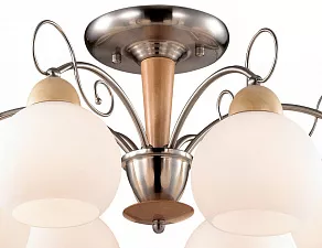 Люстра на штанге Odeon Light Narbo 2658/6C