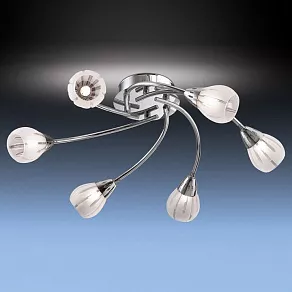 Потолочная люстра Odeon Light Posi 1613/6C