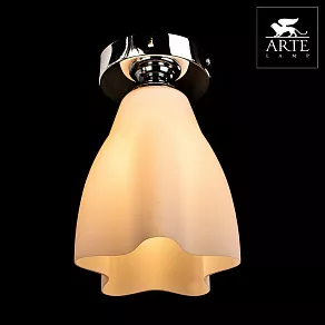 Накладной светильник Arte Lamp Canzone A3469PL-1CC