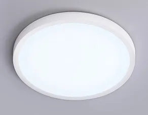 Накладной светильник Ambrella Light FZ FZ1951