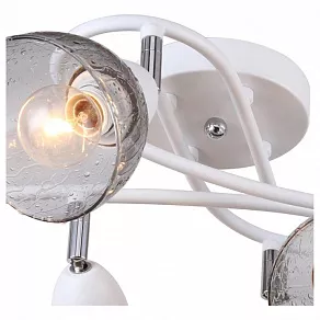 Потолочная люстра F-promo Rosebud 2350-6U
