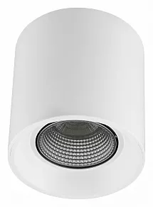 Накладной светильник Denkirs DK3040 DK3090-WH+CH