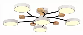 Потолочная люстра EVOLUCE Faema SLE6006-502-06