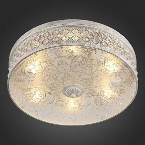 Накладной светильник ST-Luce SL240 SL240.502.06