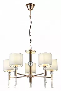 Подвесная люстра EVOLUCE Primma SLE105273-05