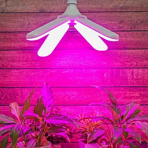 Лампа светодиодная Uniel  E27 32Вт K UL-00007408