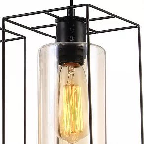 Подвесная люстра TopLight Robyn TL1176H-03BK