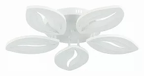 Потолочная люстра EVOLED Seteko SLE501352-05