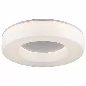 Накладной светильник ST-Luce Lordin SL886.502.01_LED
