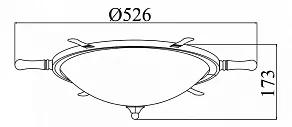 Накладной светильник Maytoni Frigate ARM624-03-R
