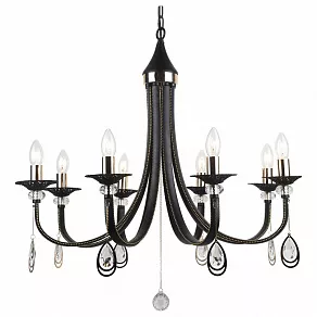 Подвесная люстра Arte Lamp Dallas A8540LM-8BK