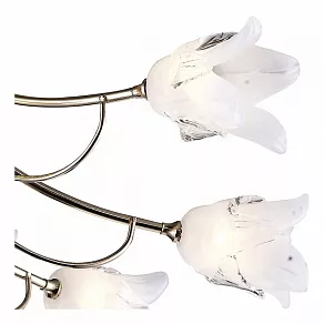 Потолочная люстра Arte Lamp Zarina A8323PL-10-6GO