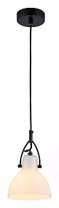 Подвесной светильник Maytoni Daniel MOD407-PL-01-B