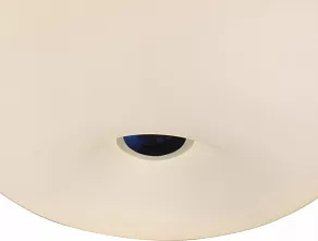 Накладной светильник ST-Luce Sfera SL297.502.03